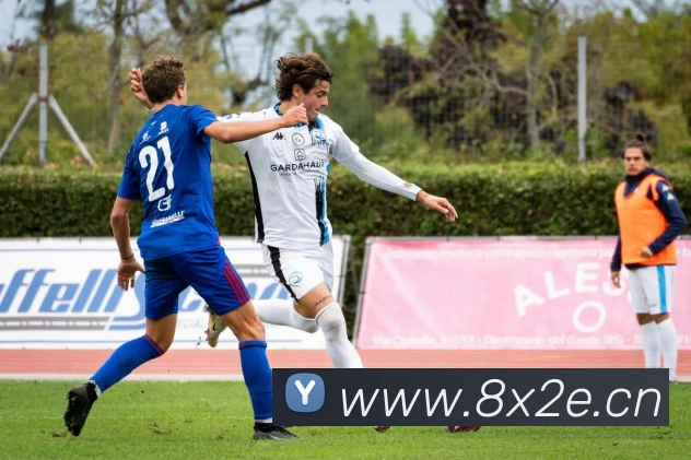 九游官网进入网页版平台生态图